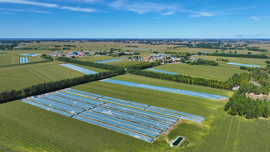 郭家鎮(zhèn)歷家村辣椒產業(yè) .jpg